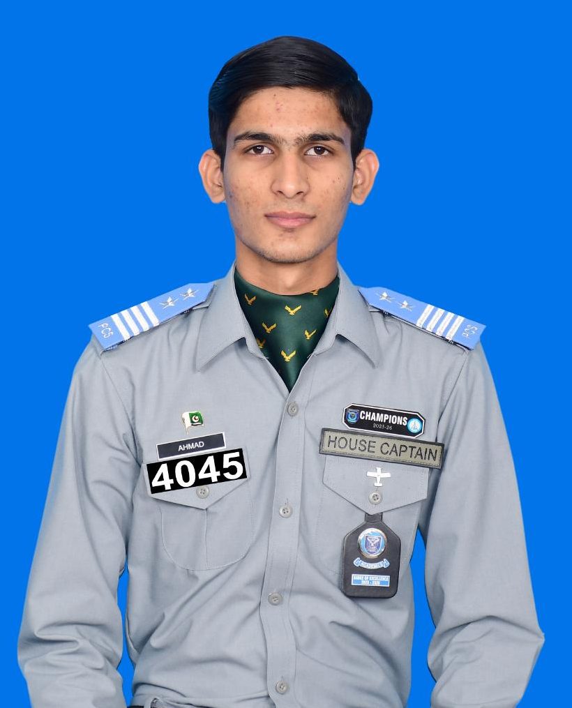 M. AHMAD SAIM