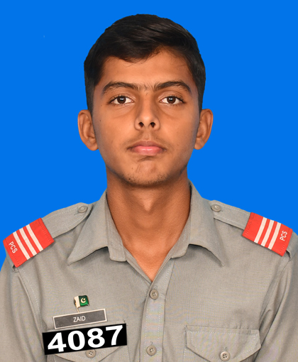 M. Zaid ali